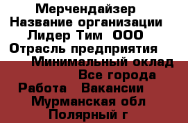 Мерчендайзер › Название организации ­ Лидер Тим, ООО › Отрасль предприятия ­ BTL › Минимальный оклад ­ 24 000 - Все города Работа » Вакансии   . Мурманская обл.,Полярный г.